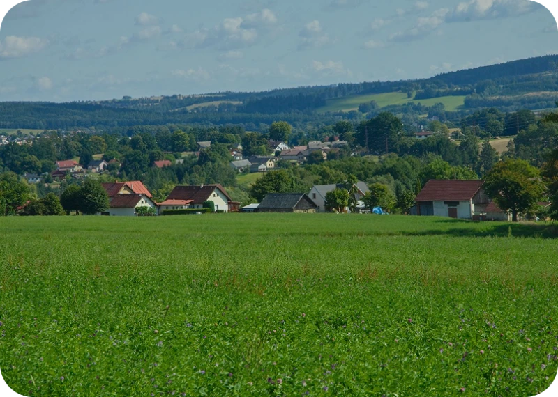 Pohled přes louku na vesnici Kochánov a zalesněné kopce Vysočiny